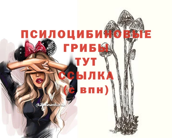 гашиш Аркадак