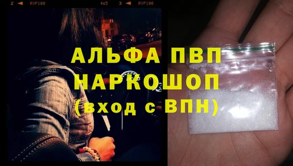спайс Пересвет