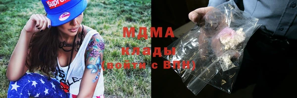 гашик Арсеньев