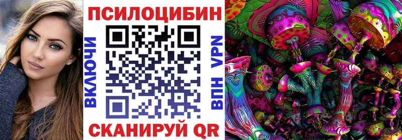 где продают   Орлов  Галлюциногенные грибы Magic Shrooms 